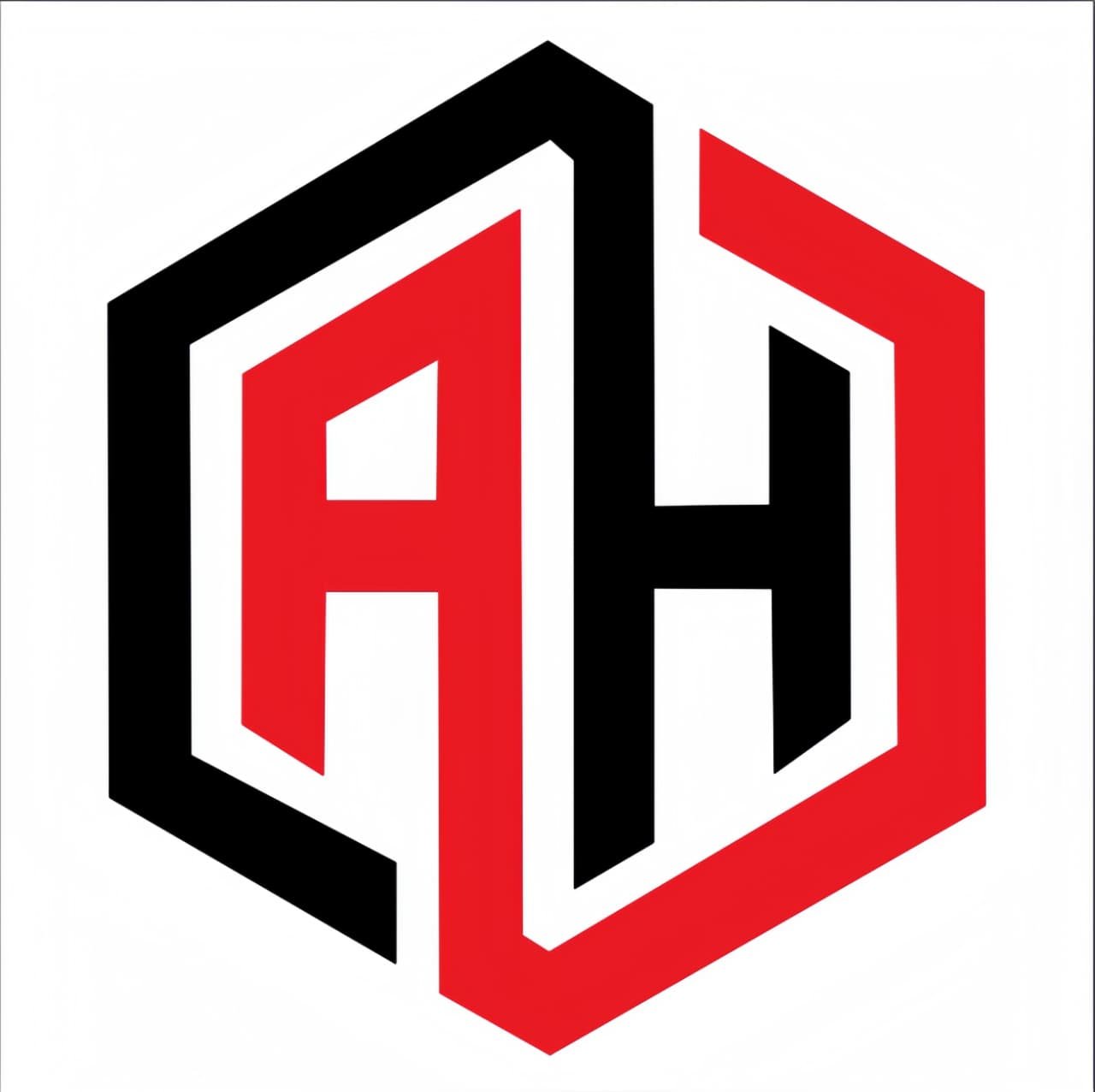 AH Digital Media Agency